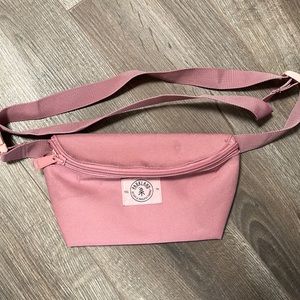 Parkland Bobbi Hip Pack in Pink (Fanny Pack)